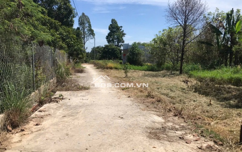 Bán đất mặt tiền Nguyễn Thế Toàn, Gia Kiệm – Thống Nhất – Đồng Nai | 161m² | Giá 1 tỷ 2 trọn sổ